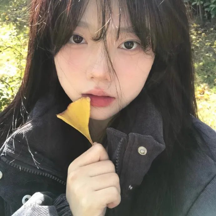 爱在猫咪疗愈时